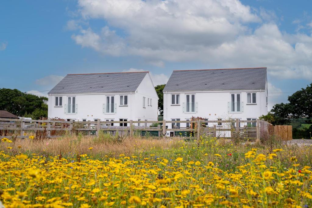 two white houses in a field of yellow flowers at The Woodland Collection, 10 mins from beaches in Hayle