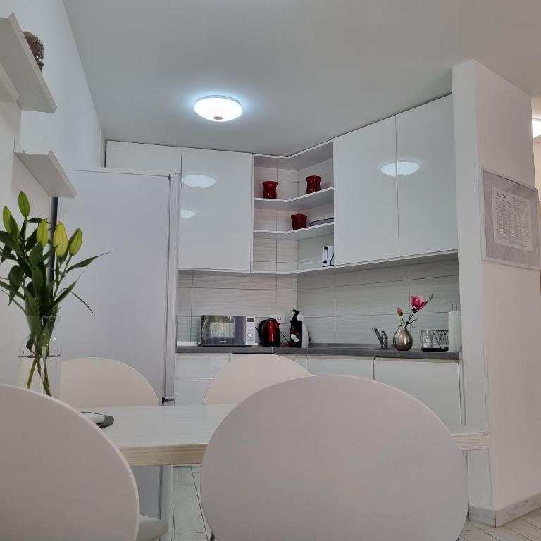 Kuchyňa alebo kuchynka v ubytovaní Apartman Magnolija Umag