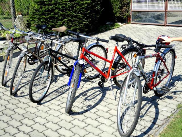 Jízda na kole v ubytování Vila Caba nebo okolí
