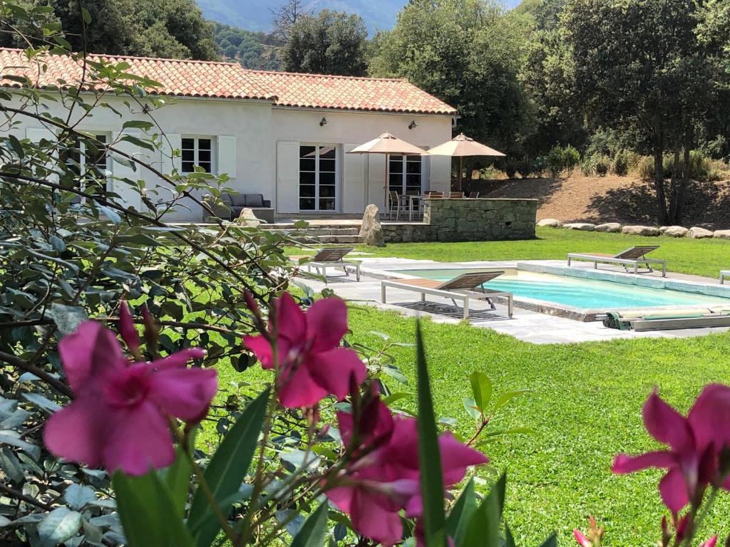 una casa con un patio con piscina y flores en Domaine de Bracciole en Corte