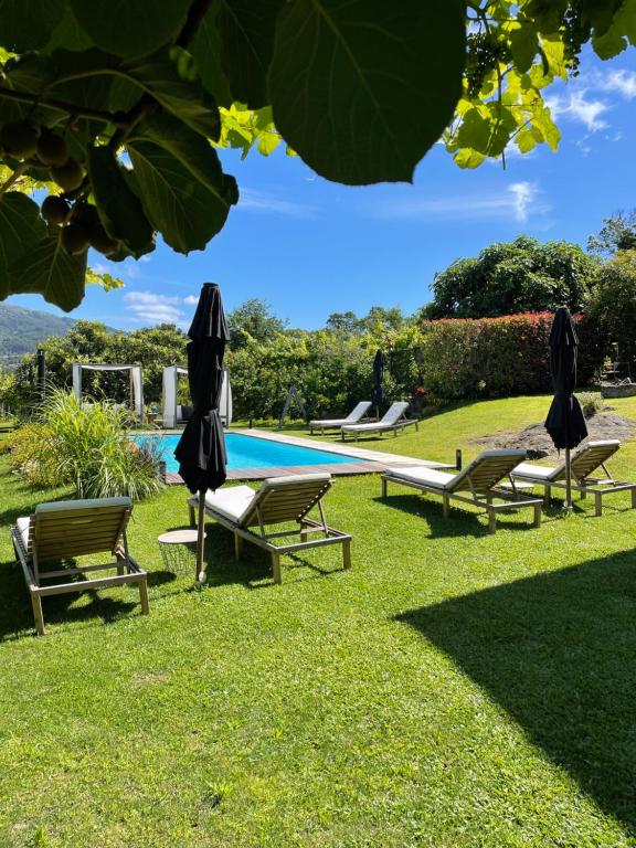 un grupo de sillas y sombrillas junto a una piscina en Villa D’Aurora Country Suites, en Ponte de Lima