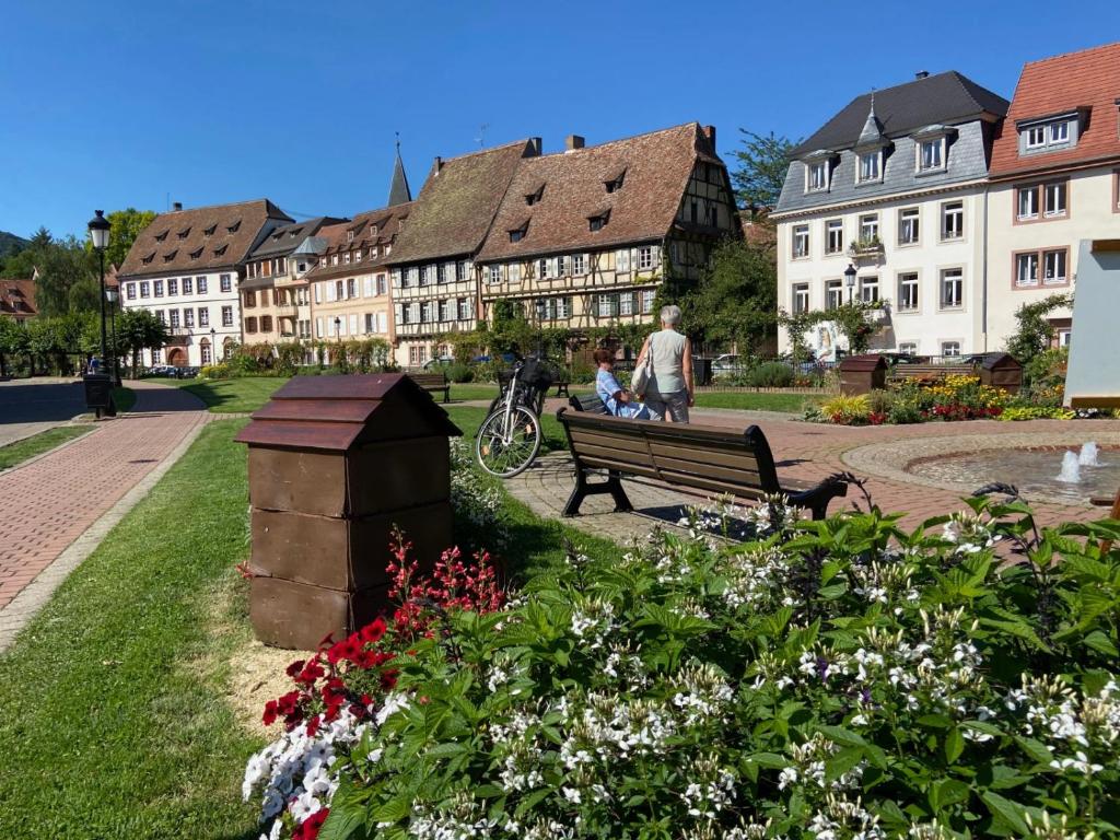 Studio le pied de Bœuf - 14