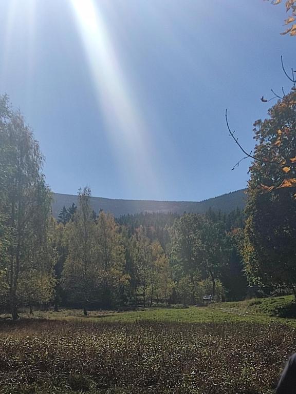 Príroda v okolí apartmánu