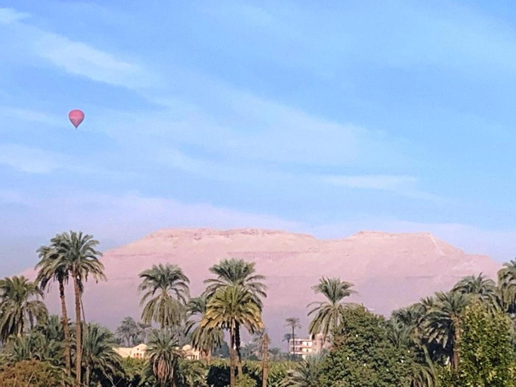 a hot air balloon in the sky over palm trees at Temple House Luxor in Luxor