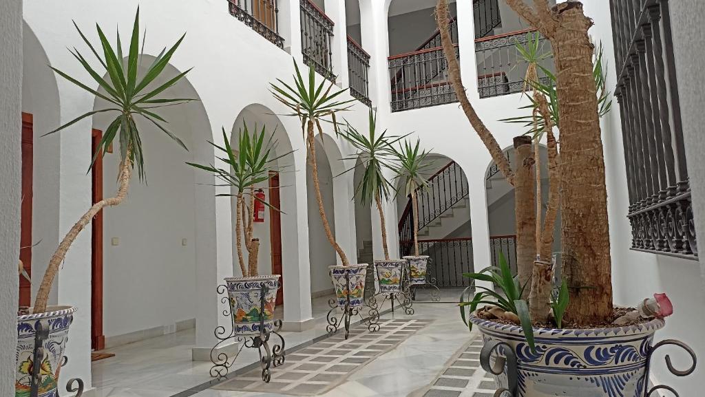 einen Flur mit Topfpflanzen in einem Gebäude in der Unterkunft Apartamento Catamarán in El Puerto de Santa María