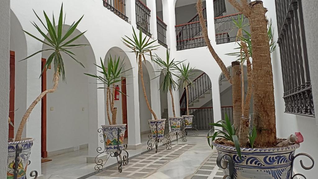 a hallway with potted plants in a building at Apartamento Catamarán in El Puerto de Santa María