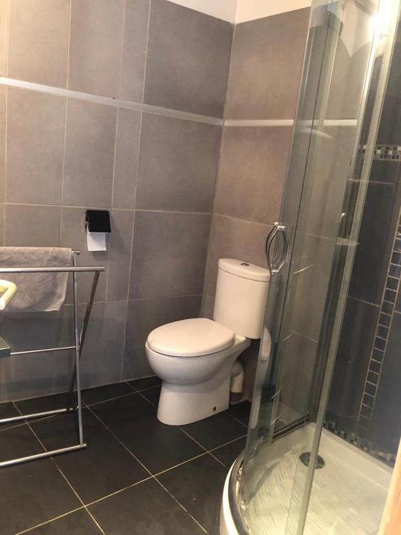 a bathroom with a toilet and a shower at Maison de Charme Rénovée in Cucuron