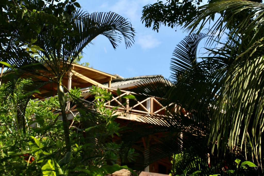 a house with a bridge in the middle of trees at Eden Jungle Lodge in Bocas del Toro