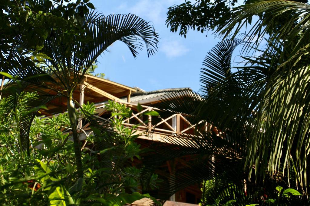 Zahrada ubytování Eden Jungle Lodge