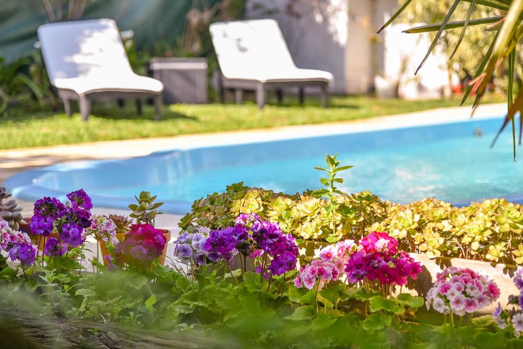 two chairs and flowers next to a swimming pool at Casa en los troncos Parque Primavesi. in Mar del Plata
