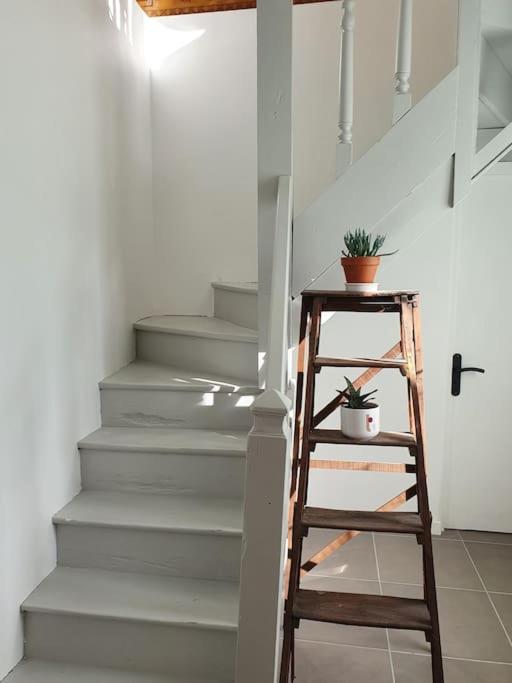 a stairway with a wooden ladder and a stair case at Pavillon d&#39;Aÿ cottage Champagne - Label Green Key in Ay