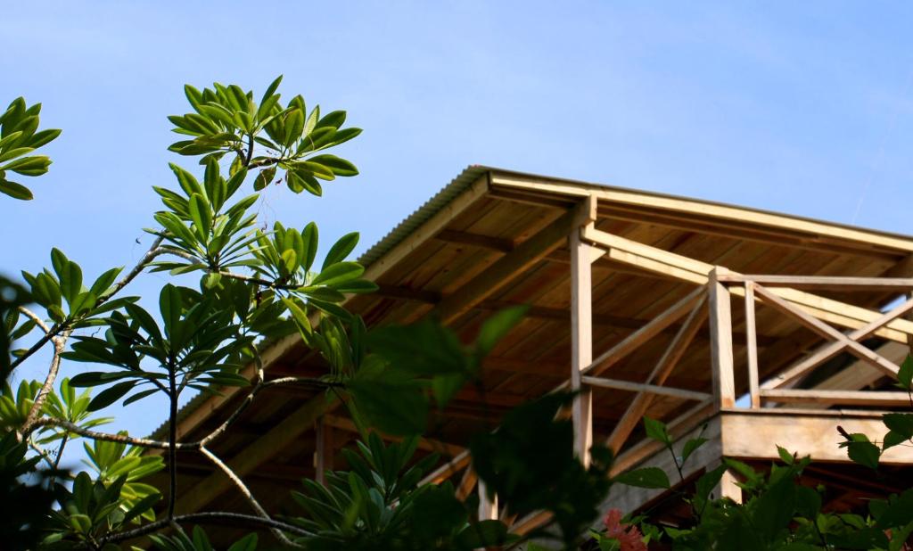 Fotografie z fotogalerie ubytování Eden Jungle Lodge v destinaci Bocas del Toro
