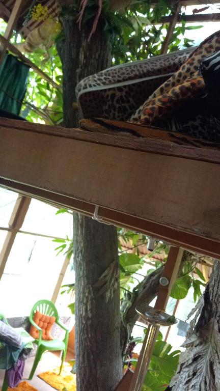 Zahrada ubytování treehouse above the beach