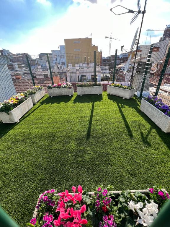 Zahrada ubytování Apartamentos Carlos