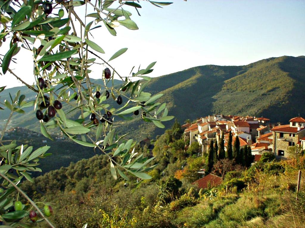 Blick auf eine Stadt auf einem Hügel mit Bäumen in der Unterkunft Borgata Castello in Chiusanico