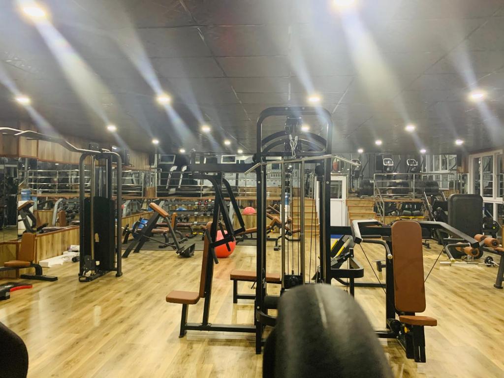 Fitness centrum a/nebo fitness zařízení v ubytování Dream Palace Resort