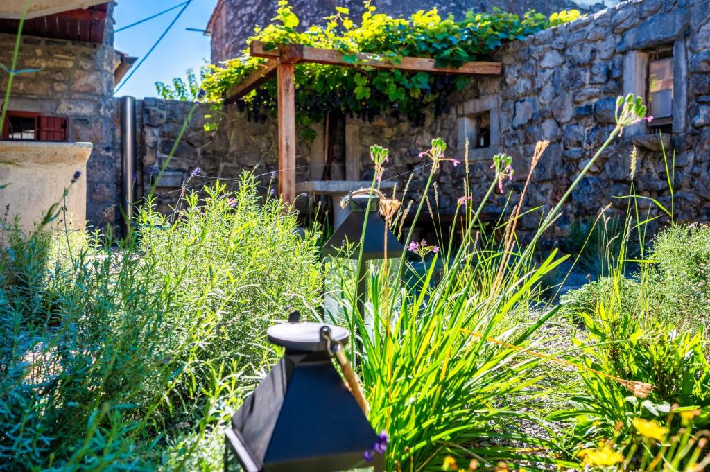 Zahrada ubytování Karst house Žan Pliskovica with private pool