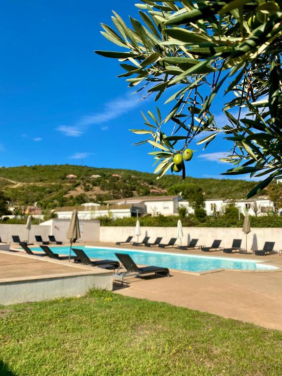 une piscine avec chaises longues et parasols dans l'établissement Hotel Les Pavillons Du Golfe, à Favone