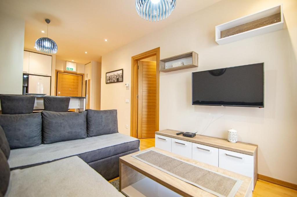 TV a/nebo společenská místnost v ubytování Apartman Oaza Kalman SPA-GYM