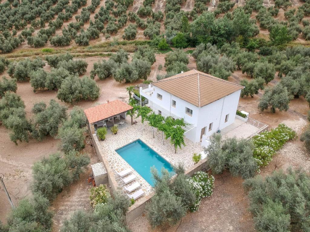 una vista aérea de una casa con piscina en Casa Olivo en Iznájar
