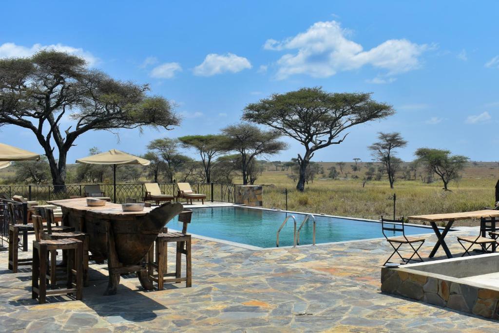 Bazén v ubytování Serengeti Sametu Camp nebo v jeho okolí