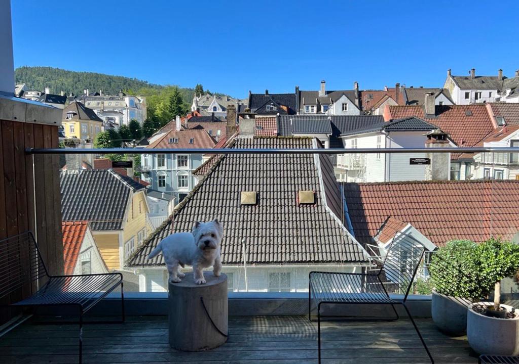 Citybox Bergen City - Resim 23