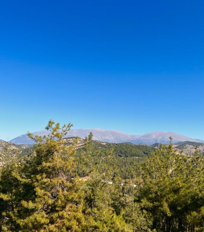 a view of trees and mountains in the distance at Villa Kastro Elassona in Elassona