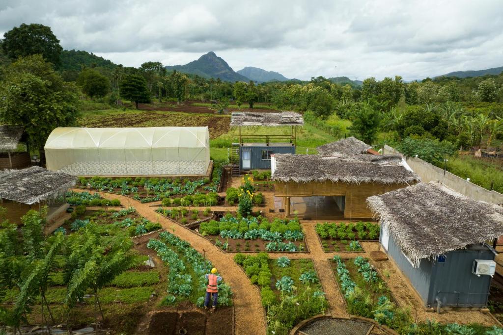 an aerial view of a garden with crops at Cozy Farm Stay in Matale