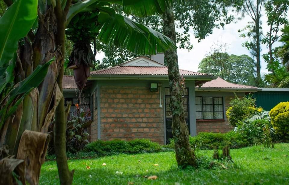 Aed väljaspool majutusasutust Zoe Homes 1br and 2br Cottage own compound -Kericho town near Green Square mall