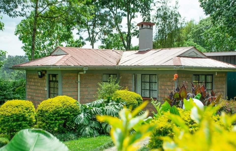 Aed väljaspool majutusasutust Zoe Homes 1br and 2br Cottage own compound -Kericho town near Green Square mall