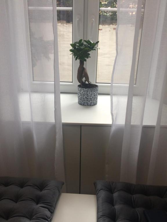 Fotografia z galérie ubytovania Magnolia Apartman v destinácii Sopron