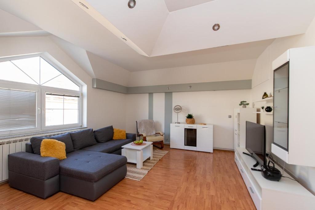 Televízia a/alebo spoločenská miestnosť v ubytovaní Apartman Lega - Daruvar