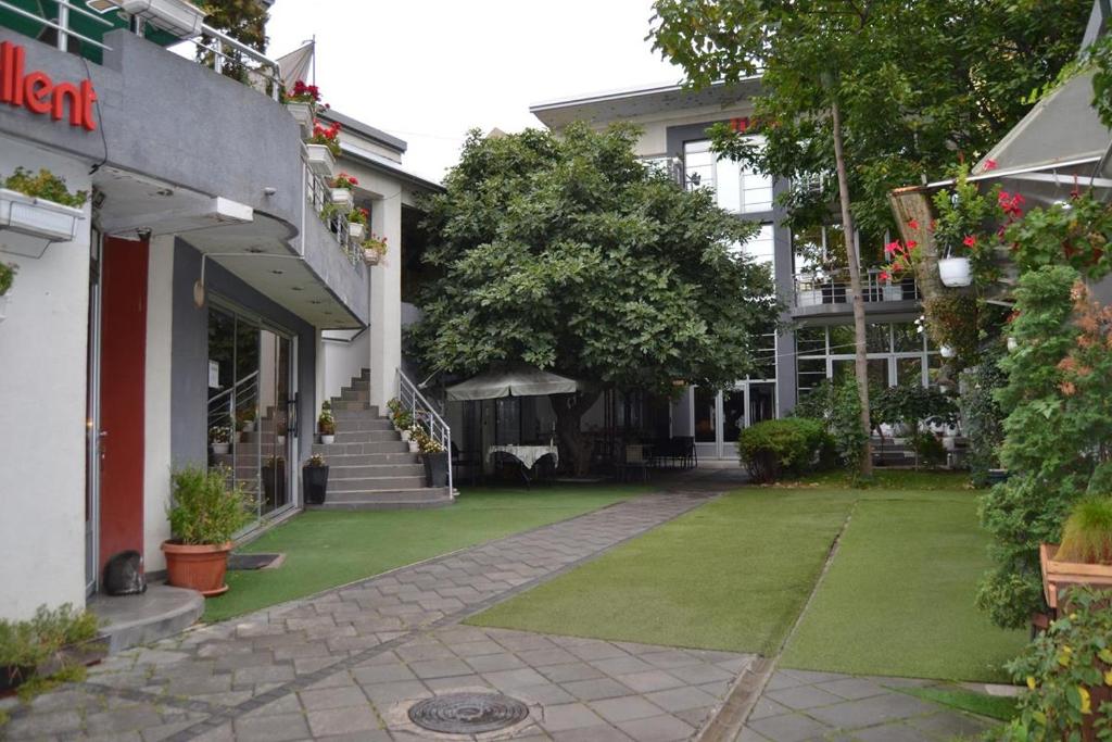 LIRA EXCELLENT NIS - Resim 2