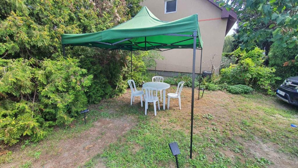Ogród w obiekcie Holiday home in Siofok - Balaton 43127