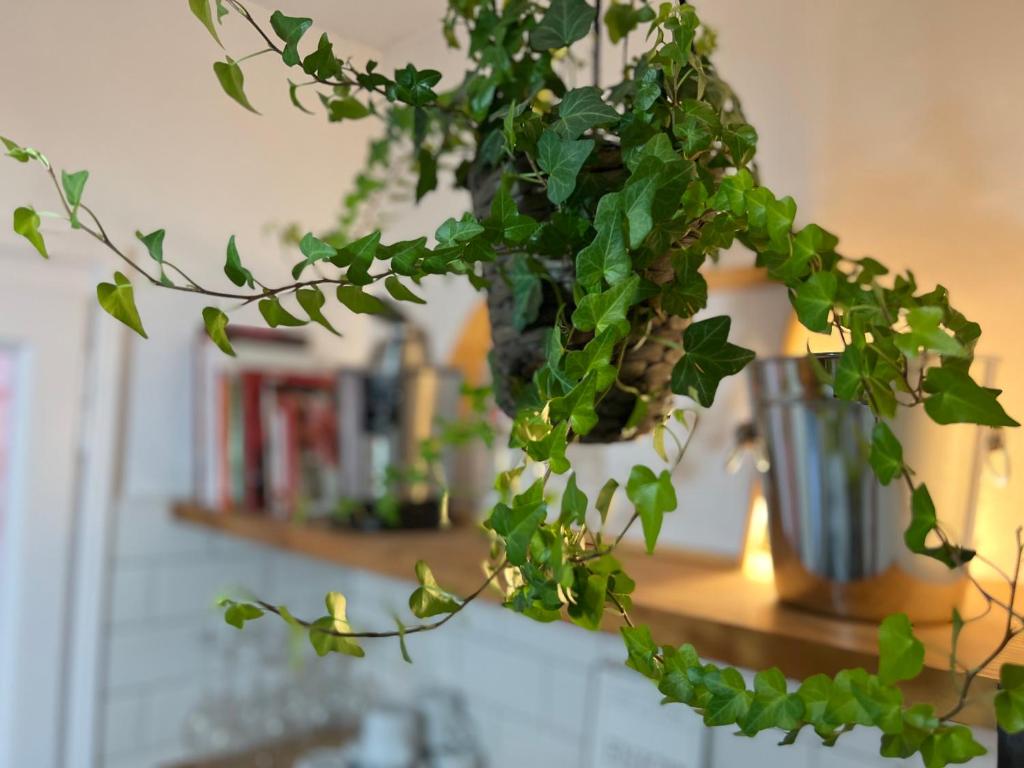 Vonkajšia záhrada v ubytovaní Charming appartement in the heart of Barcelona