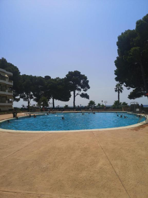 Bazén v ubytování Apartamento frente al mar nebo v jeho okolí