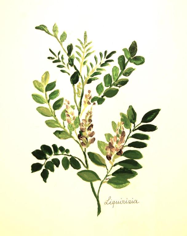 Il Guiscardo B&B - 10