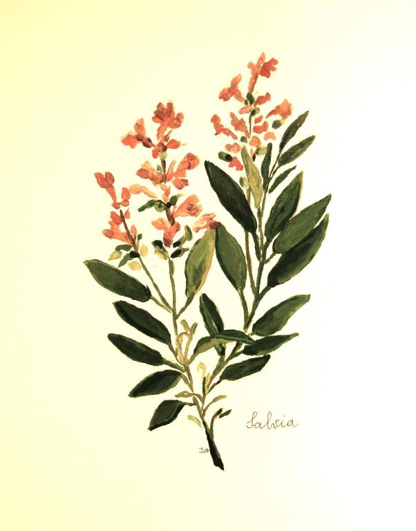 Il Guiscardo B&B - 11