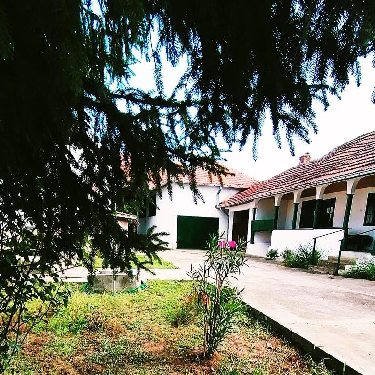 Zahrada ubytování Ethno House Andrej