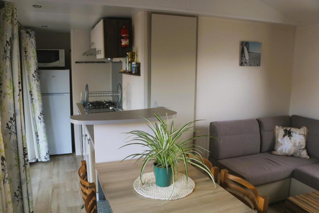 a living room with a couch and a table with a plant at Mobil-Home 3 chambres à "Les Mathes" in Les Mathes