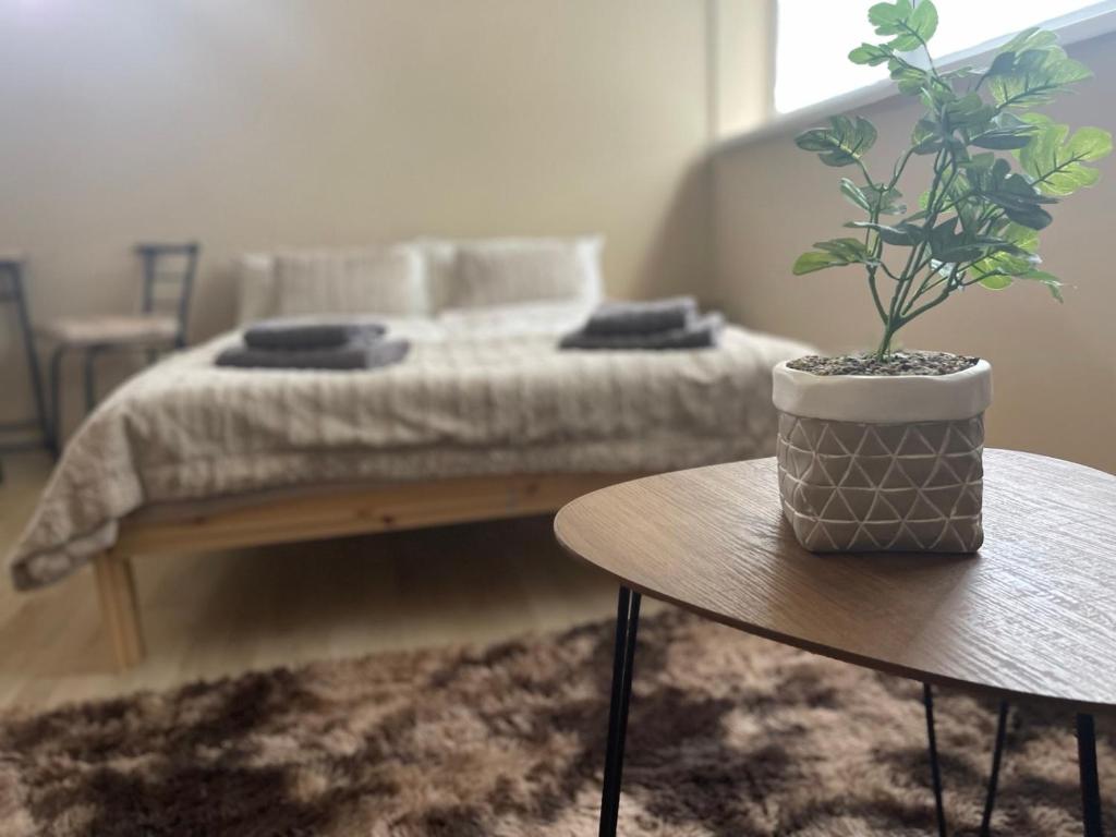 a bedroom with a bed and a potted plant on a table at Garzon/ Studio apartment in Šahy