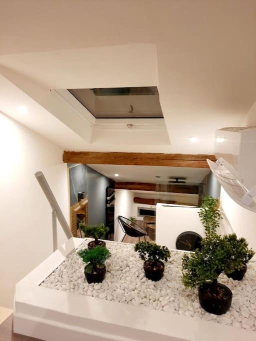Kuchyň nebo kuchyňský kout v ubytování Luxury Room La Terrazza sul Lago di Como