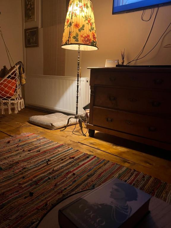 The Hunter Houseにあるテレビまたはエンターテインメントセンター