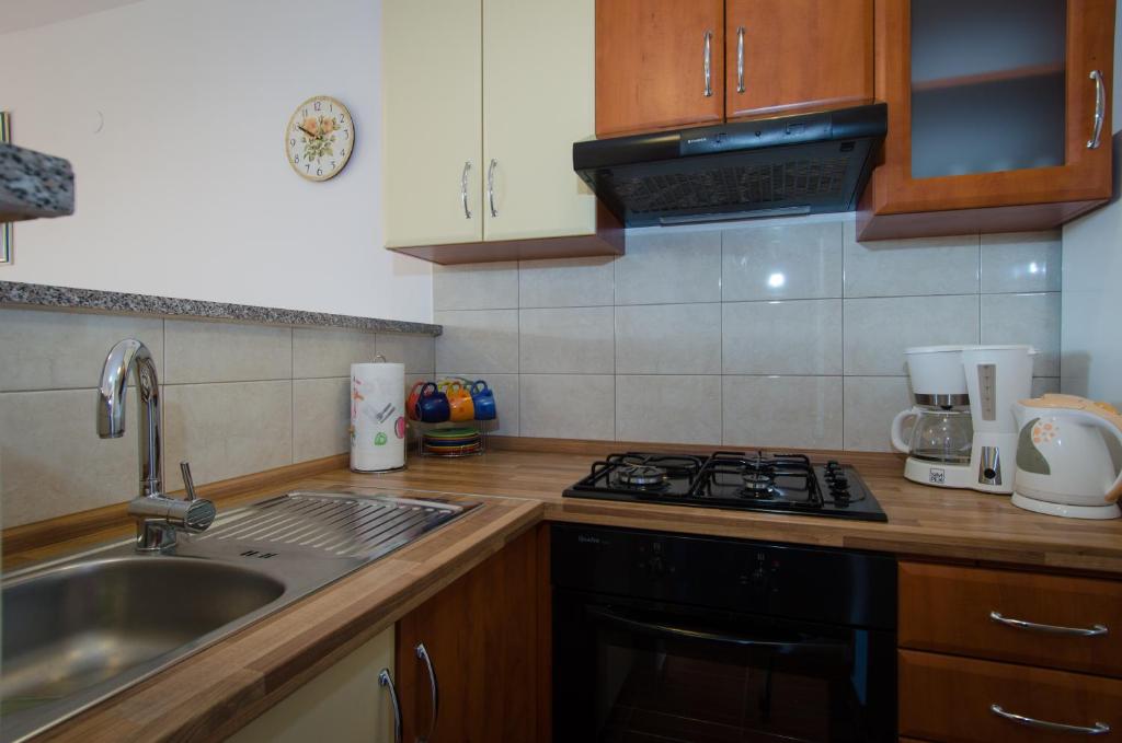 Kuchyňa alebo kuchynka v ubytovaní Apartments and Rooms Mišić