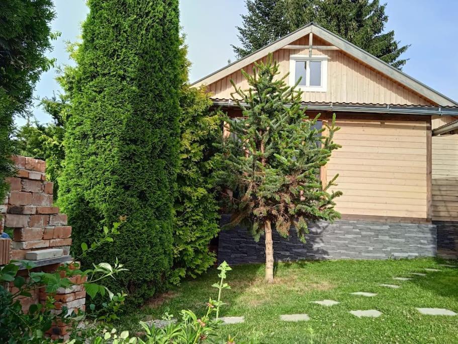 a house with a tree in the yard at Chata Adam je pre rodiny s deťmi terasa, detské ihrisko in Liptovský Mikuláš