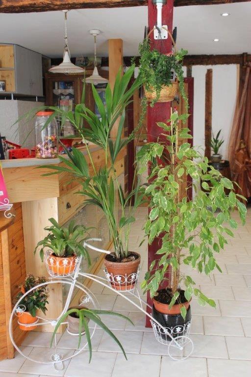 Fotografie z fotogalerie ubytování L'Oustal de l'Annetta Chambres et Tables d'Hôtes v destinaci Comus