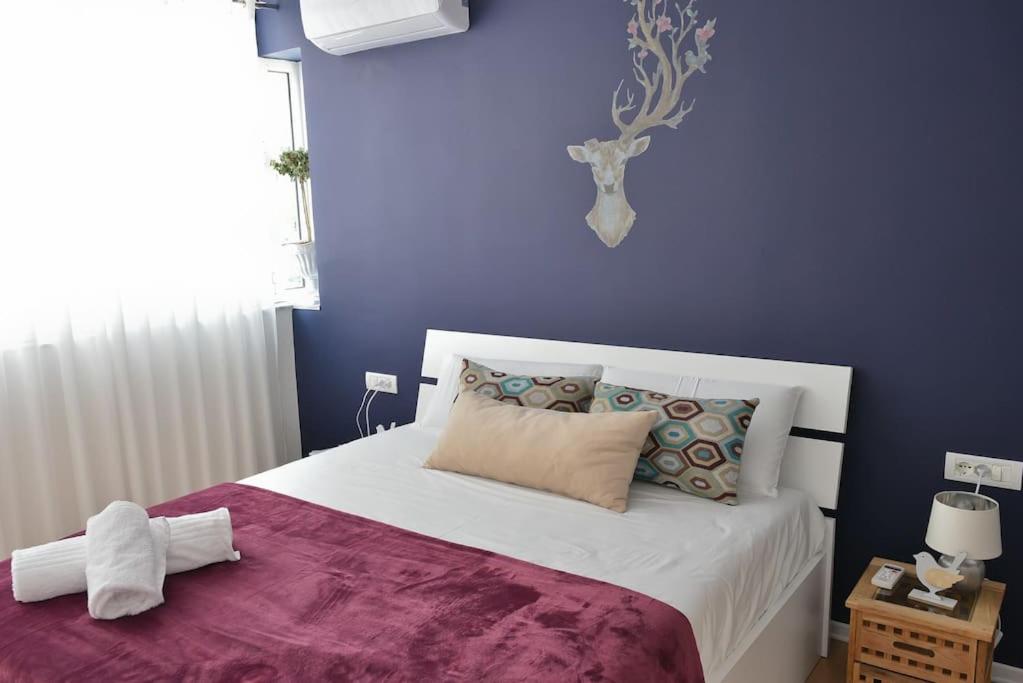 ✦ The Muse Apartment - Imazhi 7