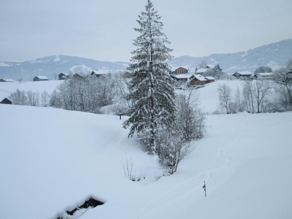 Haus Schneider v zimě