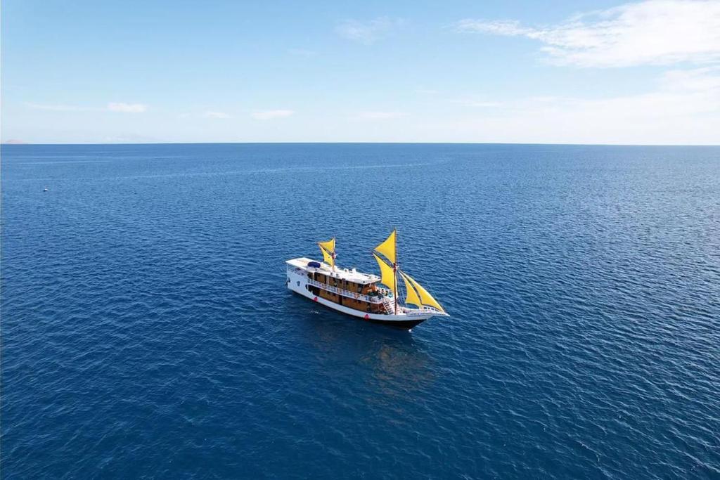 Komodo liveaboard 3 days 2 nights ,2 days 1 night