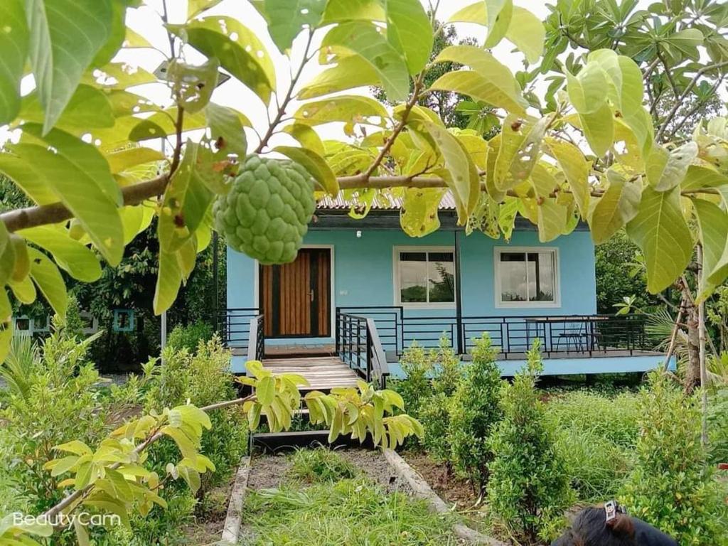 HaiVen Farm Homestay - 大双胞胎房间